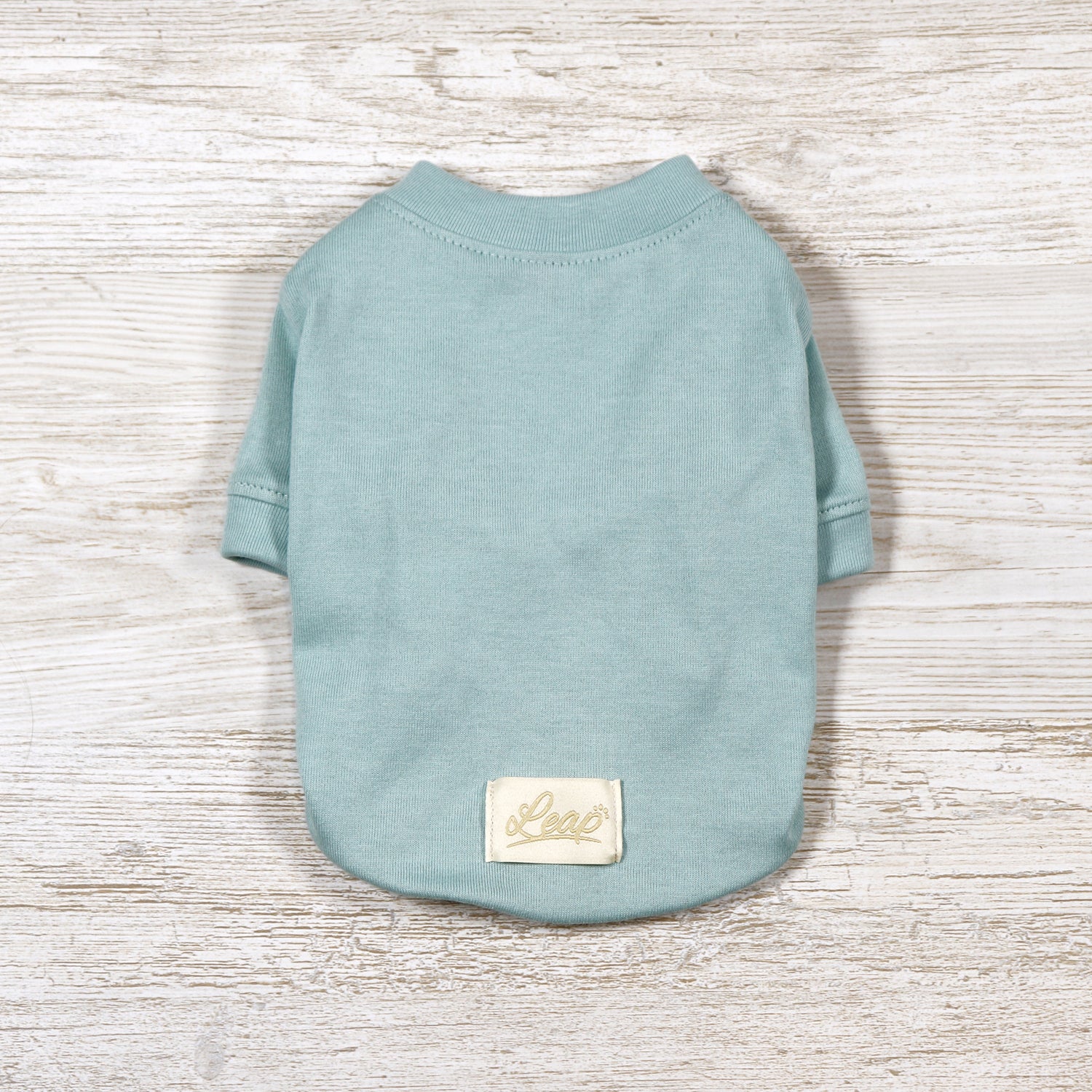 Tシャツ(フロストグリーン)