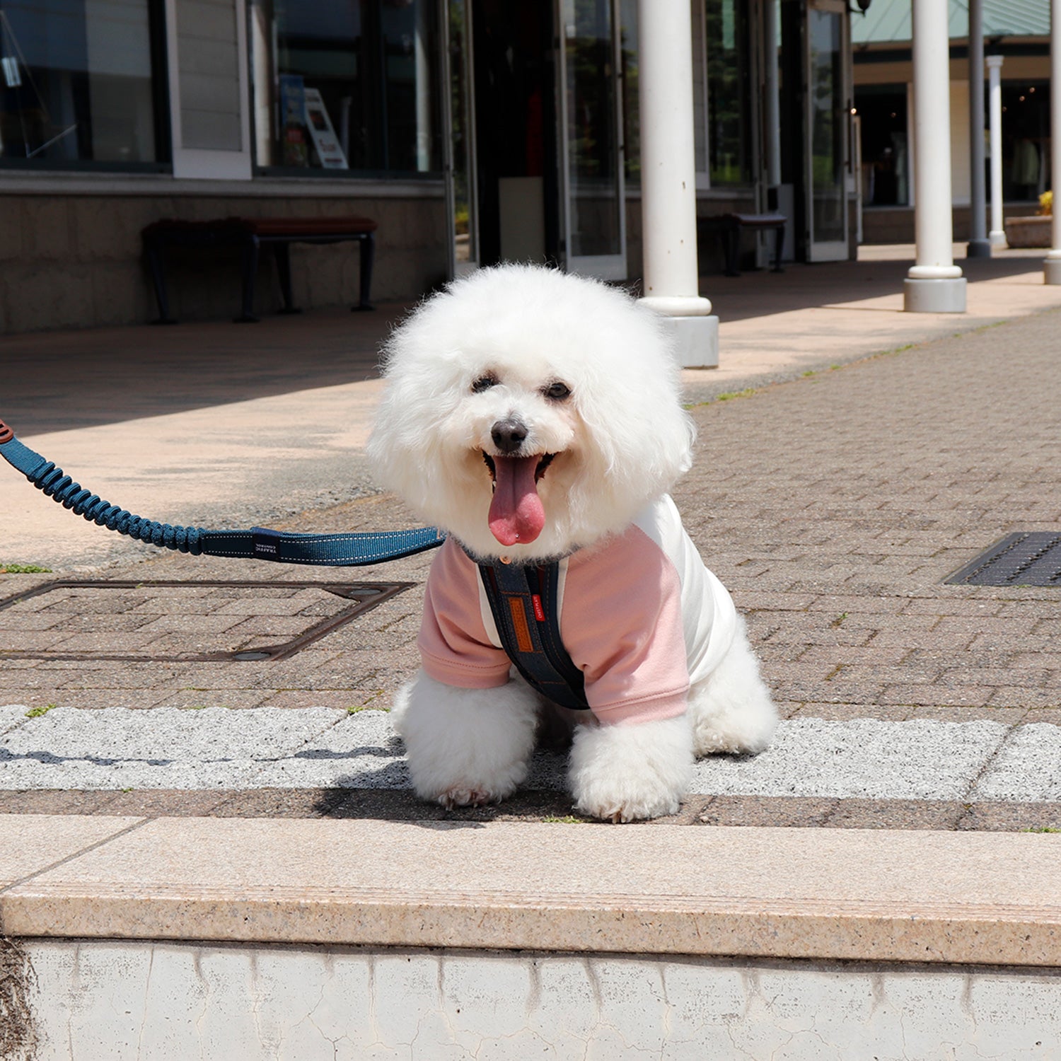 犬用ラグランTシャツ