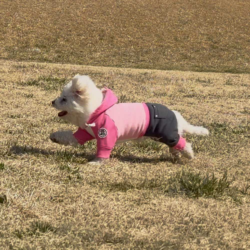 Rosé Smoke Hoodie