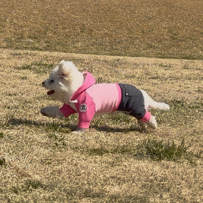 Rosé Smoke Hoodie